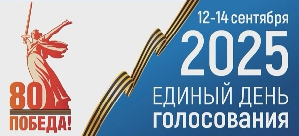 Выборы